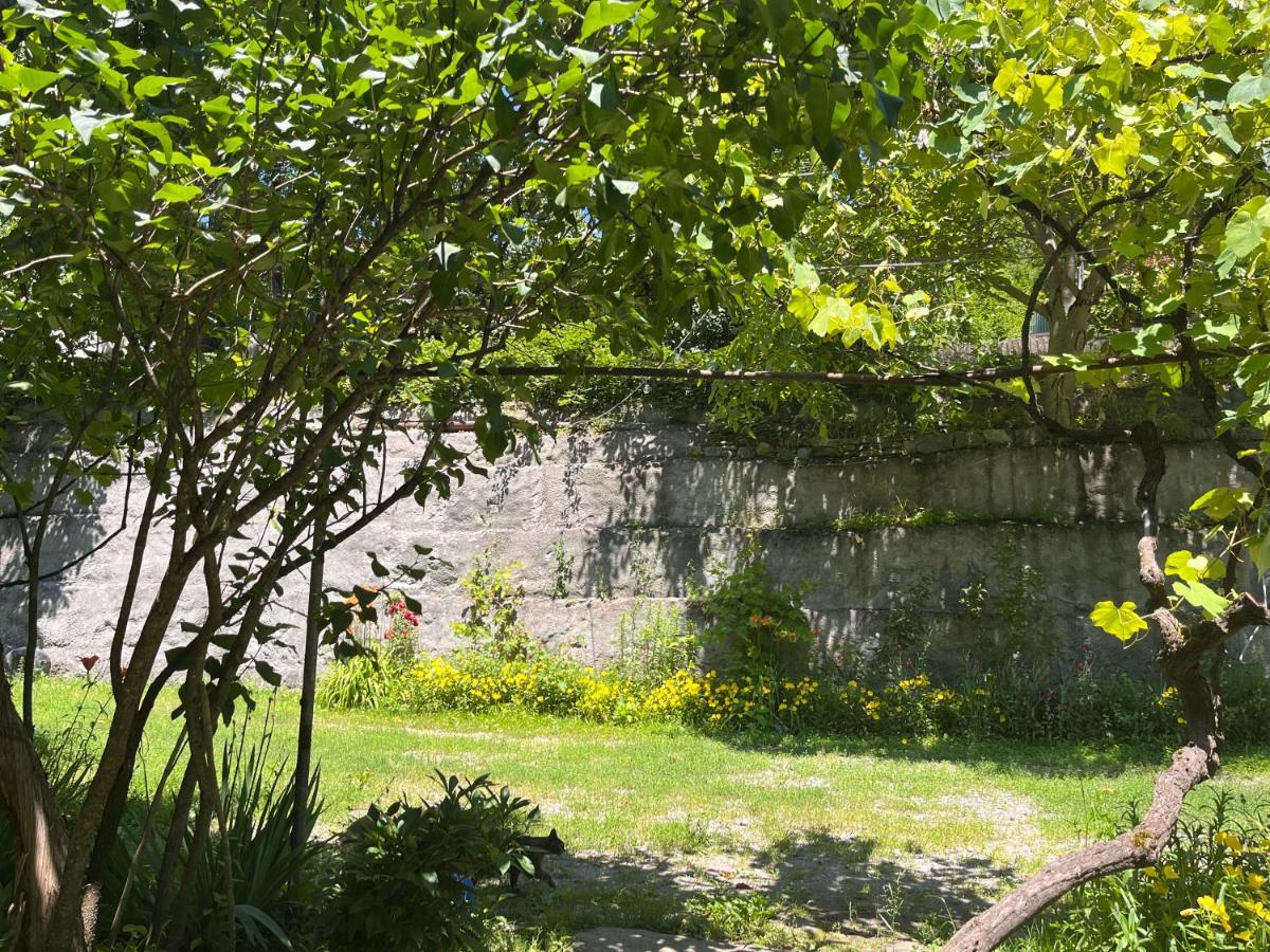 Borjomi Makvala'S Guest House Εξωτερικό φωτογραφία