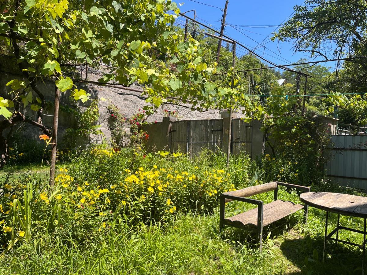 Borjomi Makvala'S Guest House Εξωτερικό φωτογραφία