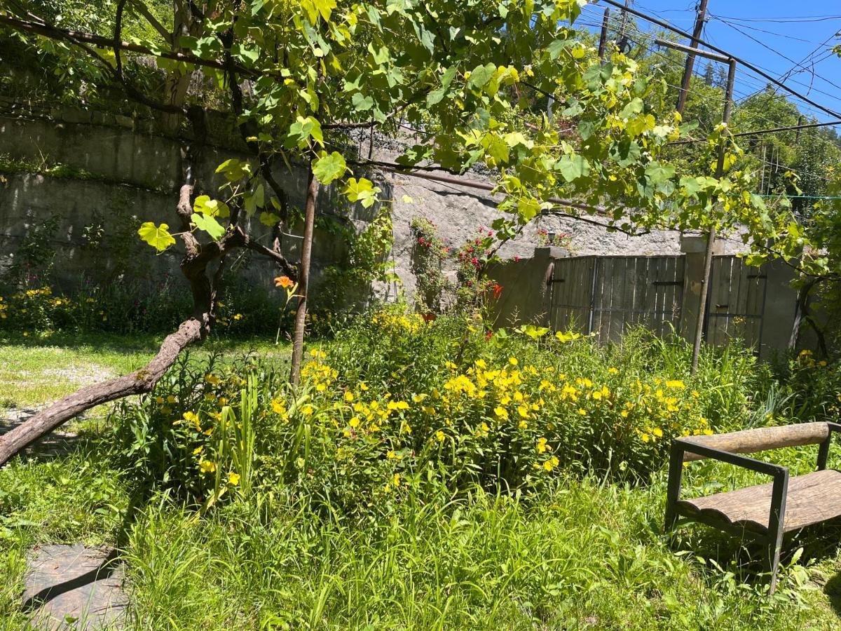 Borjomi Makvala'S Guest House Εξωτερικό φωτογραφία