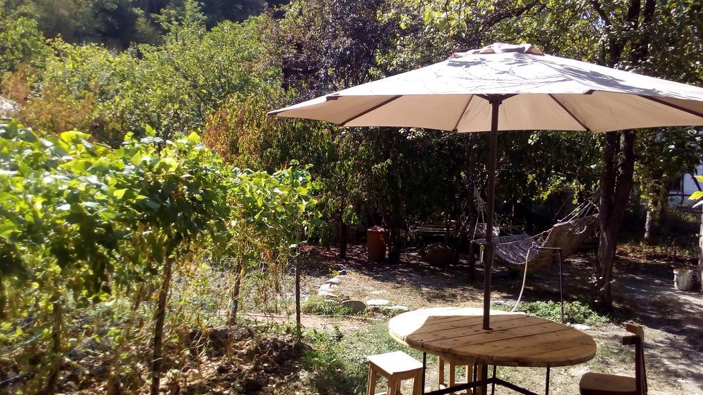 Borjomi Makvala'S Guest House Εξωτερικό φωτογραφία