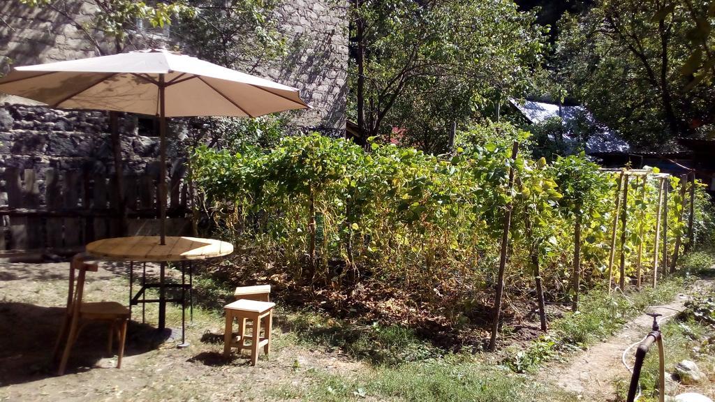 Borjomi Makvala'S Guest House Εξωτερικό φωτογραφία