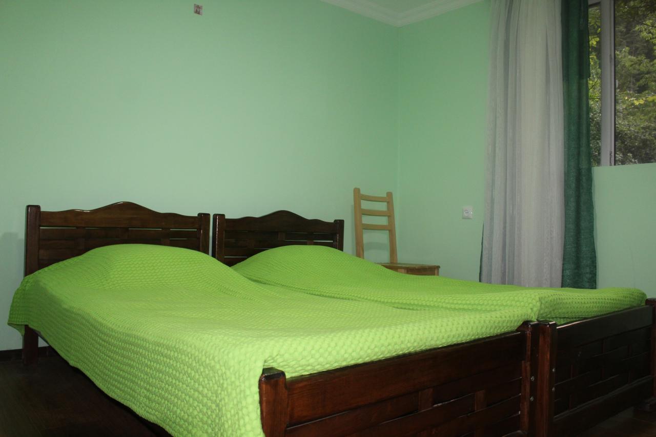 Borjomi Makvala'S Guest House Εξωτερικό φωτογραφία
