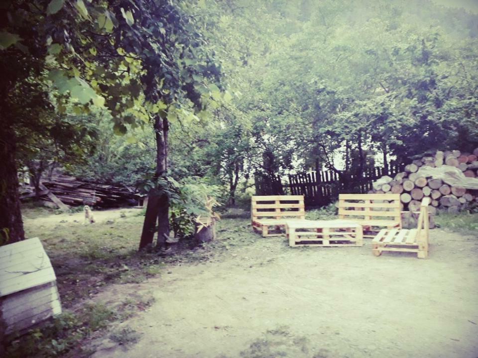Borjomi Makvala'S Guest House Εξωτερικό φωτογραφία